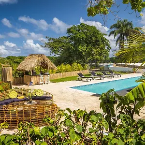 book here